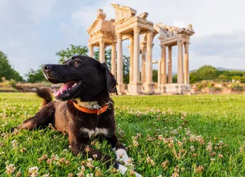 Aphrodisias Tour